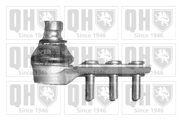 QUINTON HAZELL Шарнир независимой подвески / поворотного рычага QSJ1353S